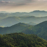 Der Nationalpark Schwarzwald